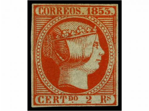 Lote 19