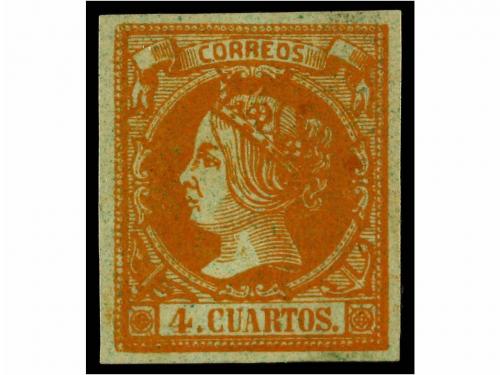 Lote 42