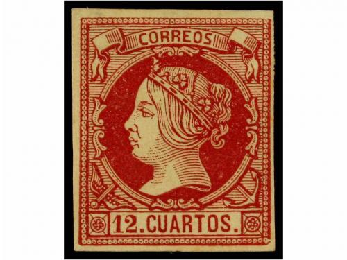 Lote 43