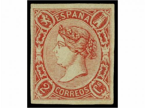 Lote 49