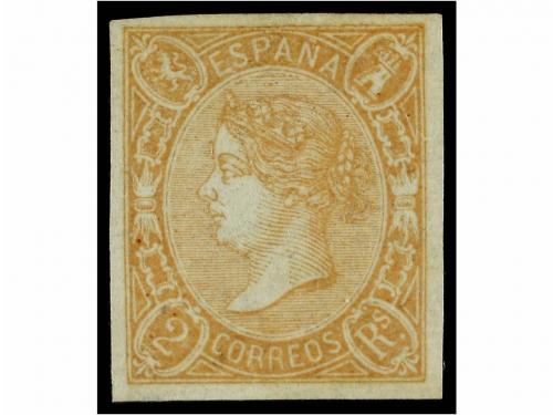 Lot 53
