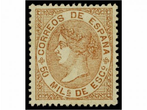 Lot 75