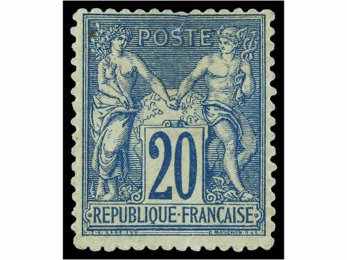 Lot 204