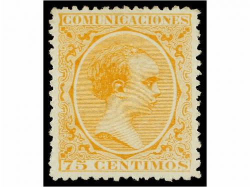 Lot 300