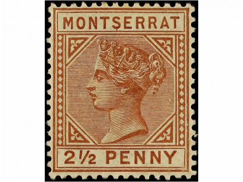 Lote 1153
