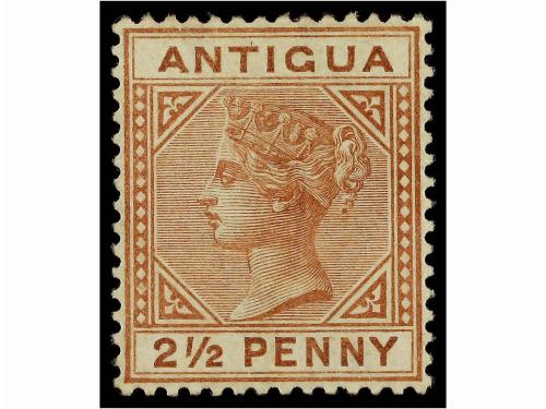 Lote 1002