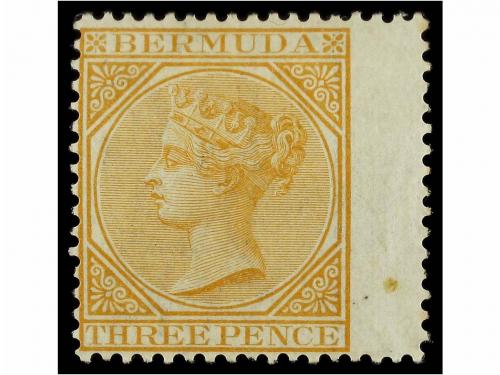 Lote 1024