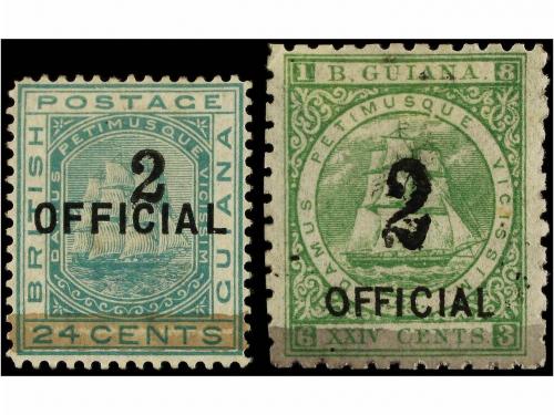 Lote 1029