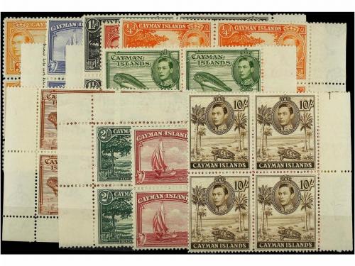 Lote 1069