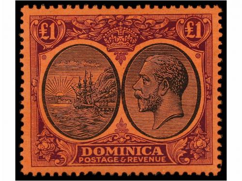 Lote 1077