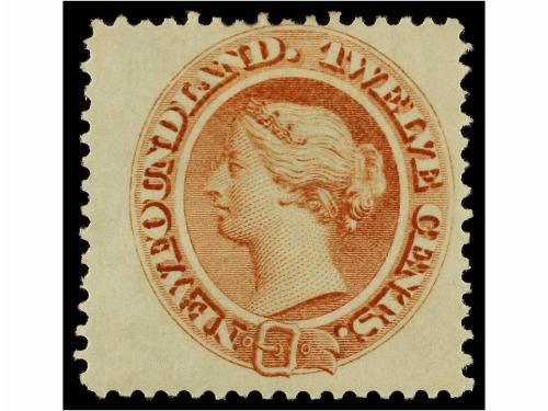 Lote 1175