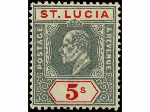 Lote 1201