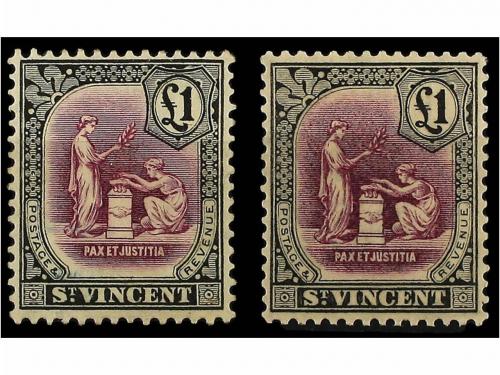 Lote 1203