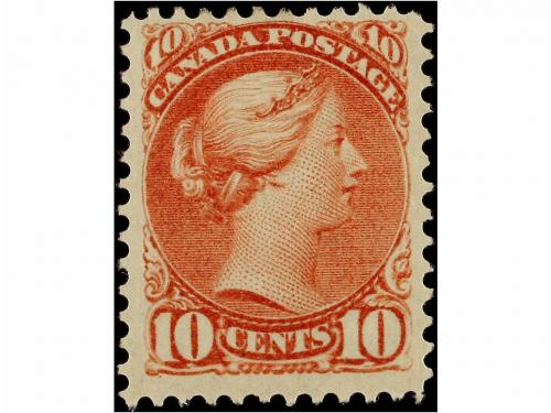 Lote 1039