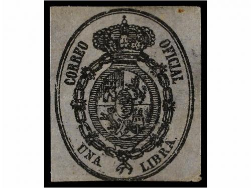 Lot 891