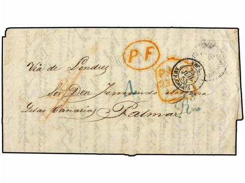 Lot 589