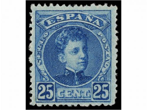 Lot 411
