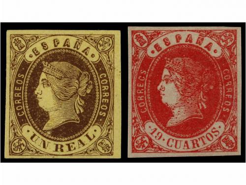 Lot 181