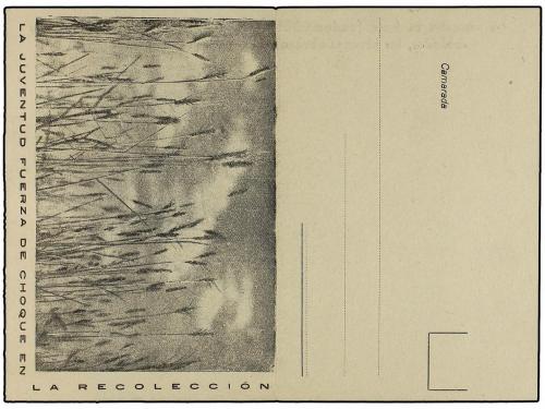 Lote 1068
