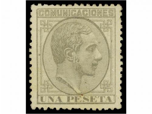 Lote 329