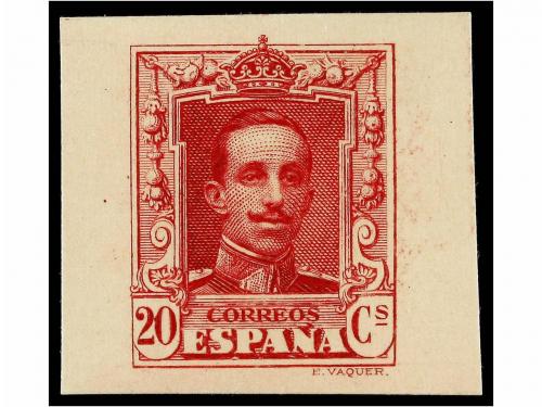 Lote 429