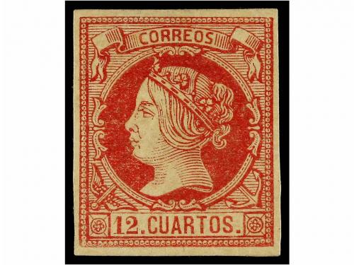 Lote 141