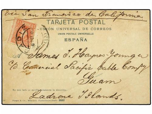 Lote 379