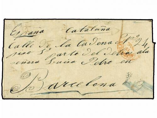 Lot 1391