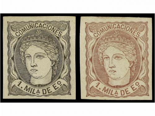 Lote 239