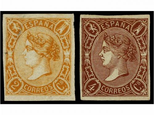 Lote 161