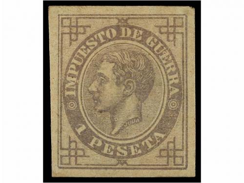 Lote 309