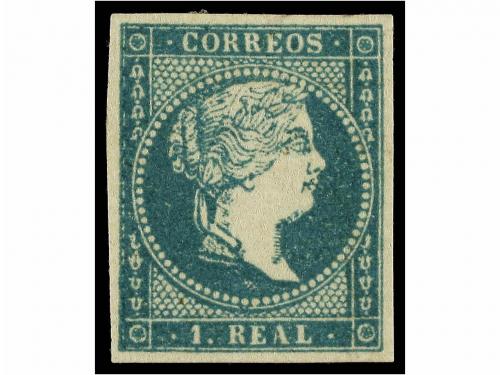 Lote 81
