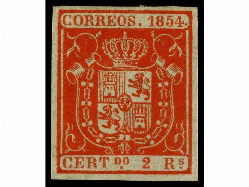 Lote 65