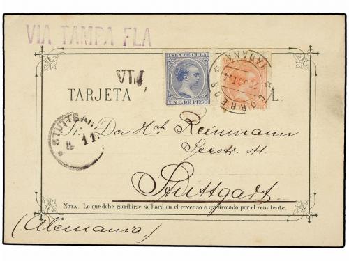 Lote 2533