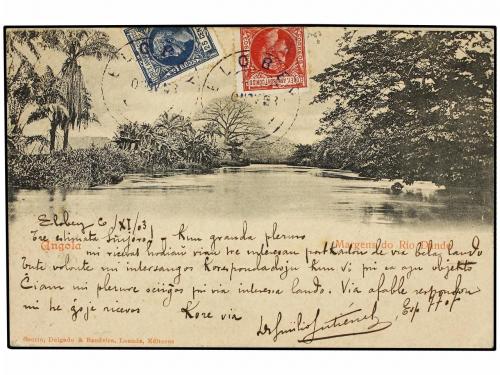 Lote 1410