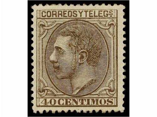 Lote 323
