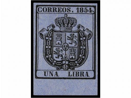 Lote 115
