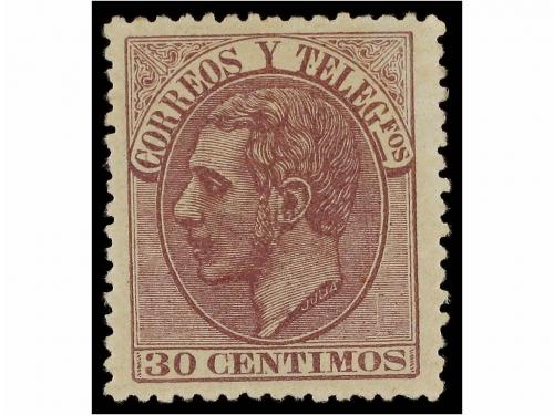 Lote 331