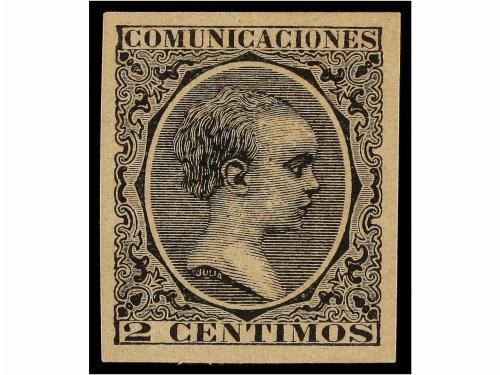 Lote 337