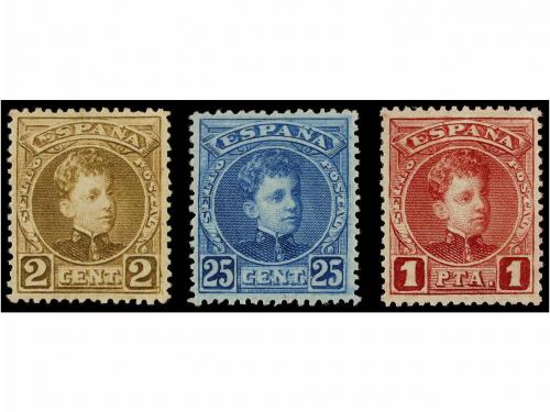 Lot 709