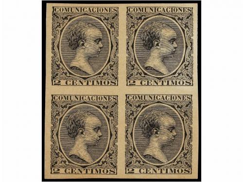 Lote 338
