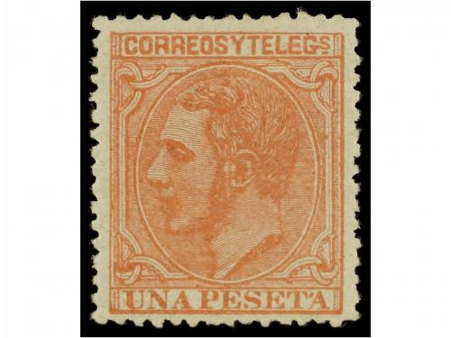 Lote 324