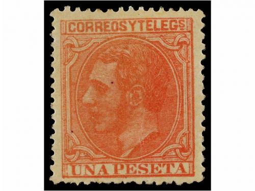 Lote 325