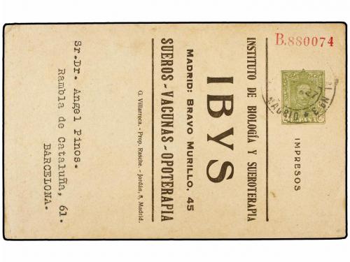 Lot 1241