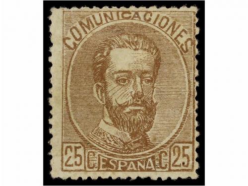 Lote 571