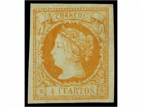 Lote 419