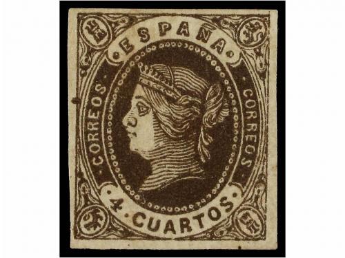 Lote 446