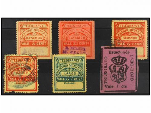 Lote 1558