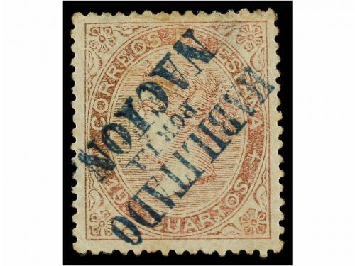 Lot 294