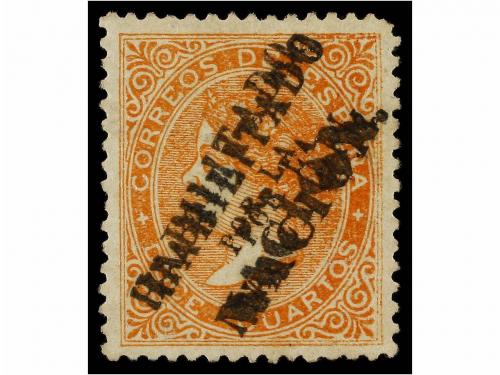 Lot 231